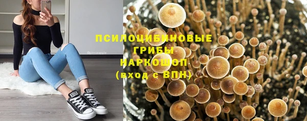 кокаин премиум Белокуриха